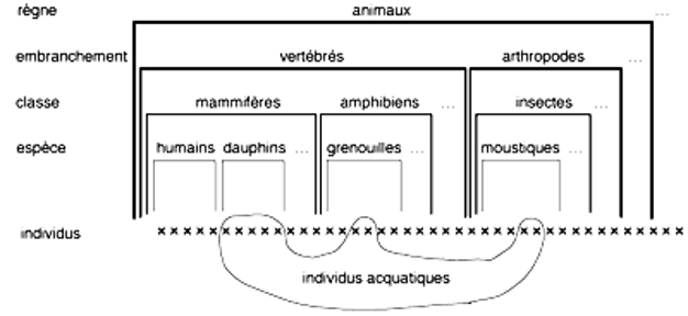 La classification dite « scientifique » (linnéenne) comparée à celle en animaux aquatiques / animaux terrestres