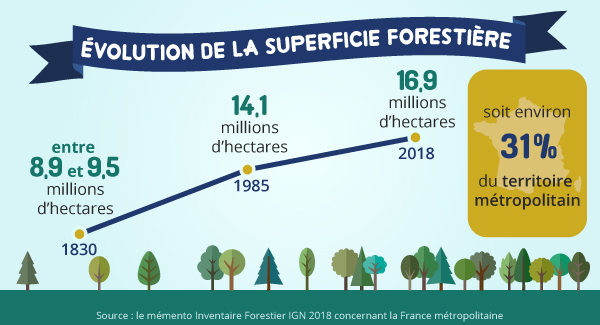 Èvolution de la superficie forestière