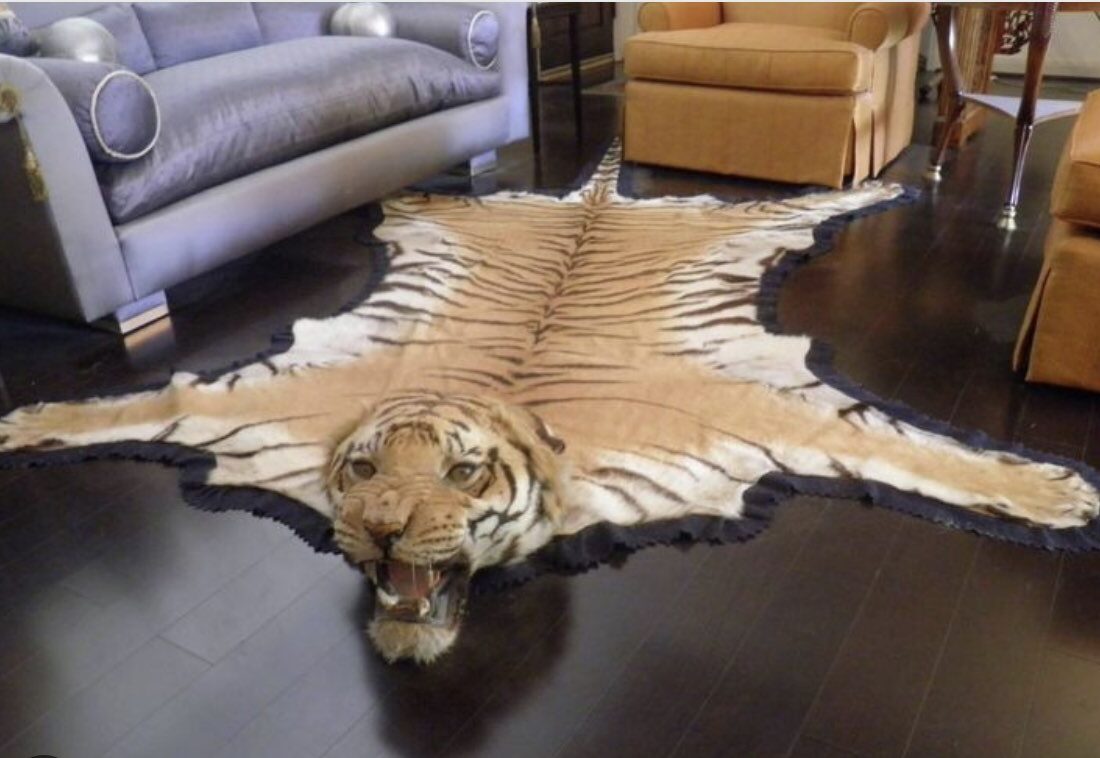 Tigre tapis