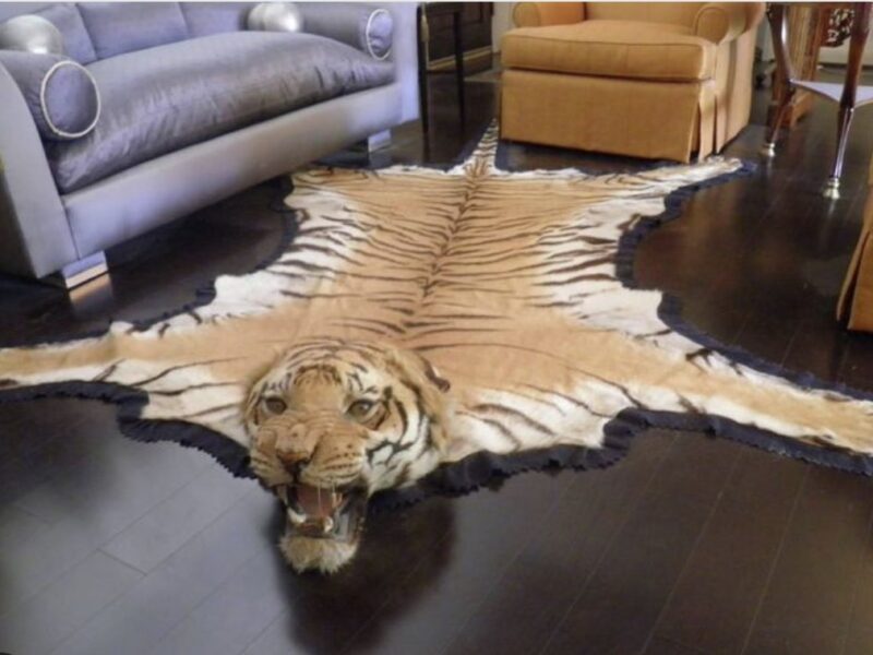 Tigre tapis